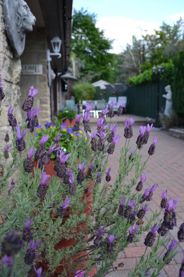 Castle Green Bed And Breakfast Ashbourne  Kültér fotó